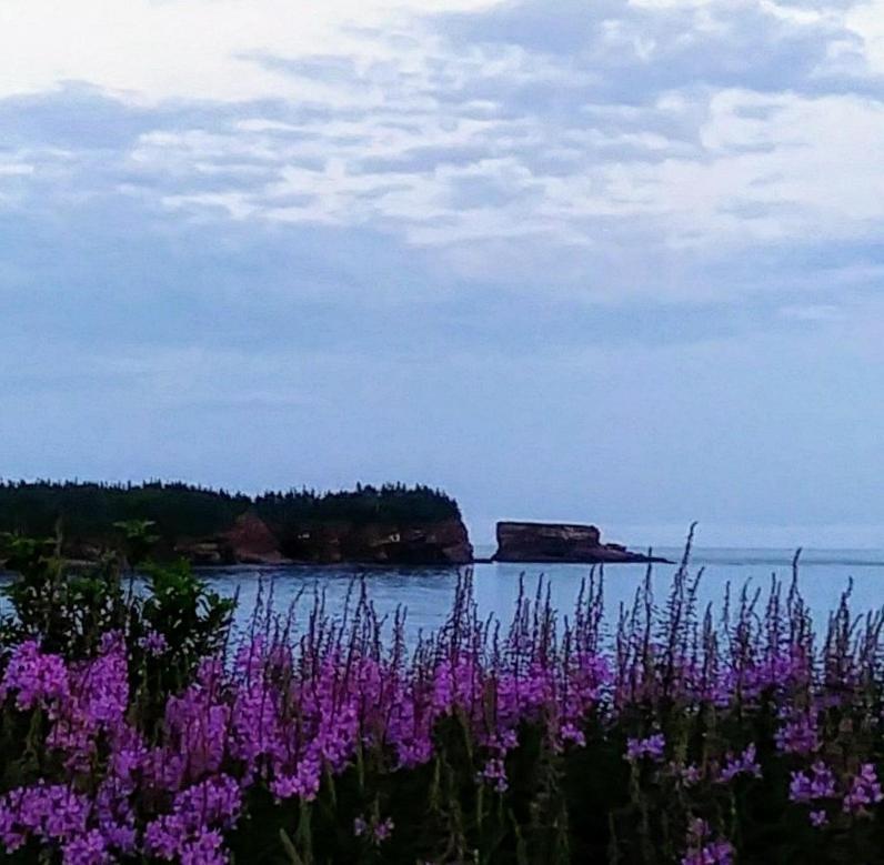 Moore'S Specialties Fundy Bay House Rental Gardner Creek Esterno foto