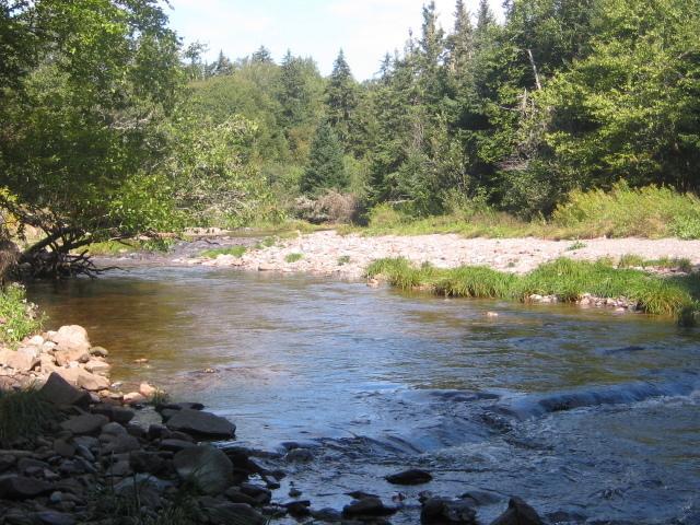 Moore'S Specialties Fundy Bay House Rental Gardner Creek Esterno foto