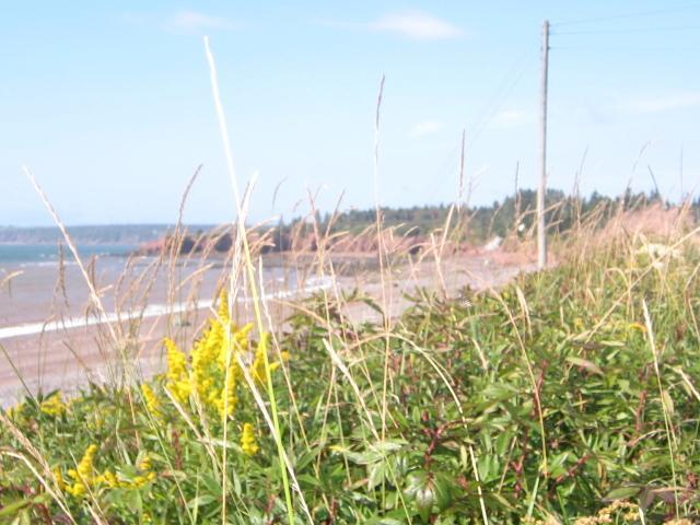 Moore'S Specialties Fundy Bay House Rental Gardner Creek Esterno foto
