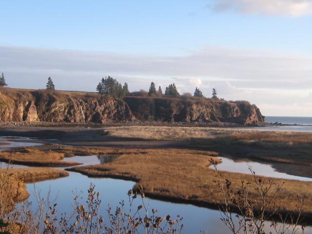 Moore'S Specialties Fundy Bay House Rental Gardner Creek Esterno foto