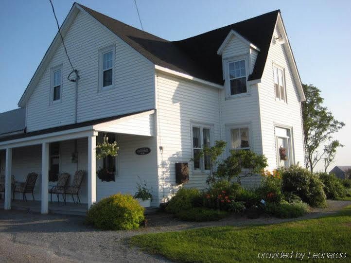 Moore'S Specialties Fundy Bay House Rental Gardner Creek Esterno foto