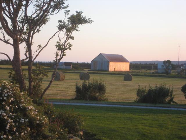 Moore'S Specialties Fundy Bay House Rental Gardner Creek Esterno foto