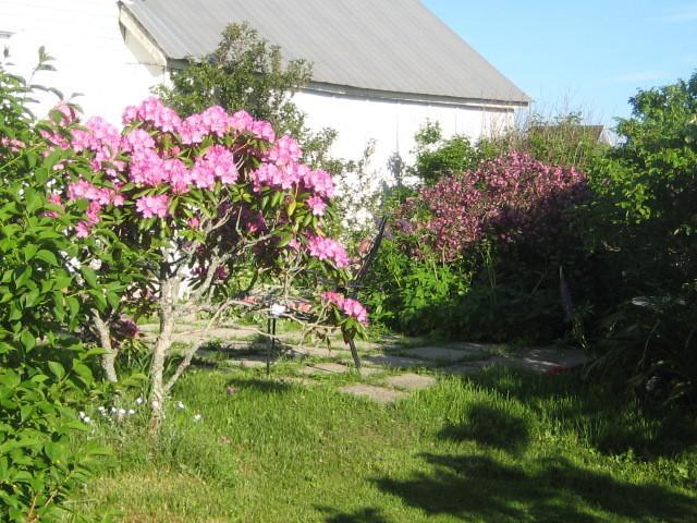 Moore'S Specialties Fundy Bay House Rental Gardner Creek Esterno foto