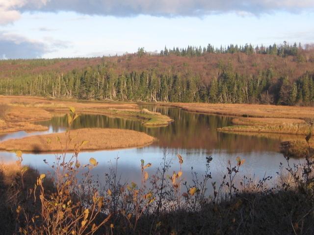 Moore'S Specialties Fundy Bay House Rental Gardner Creek Esterno foto