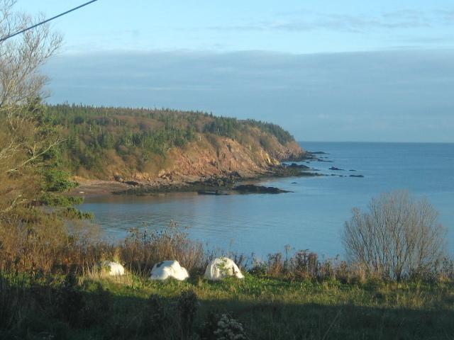 Moore'S Specialties Fundy Bay House Rental Gardner Creek Esterno foto