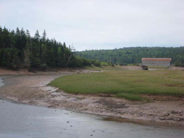 Moore'S Specialties Fundy Bay House Rental Gardner Creek Esterno foto